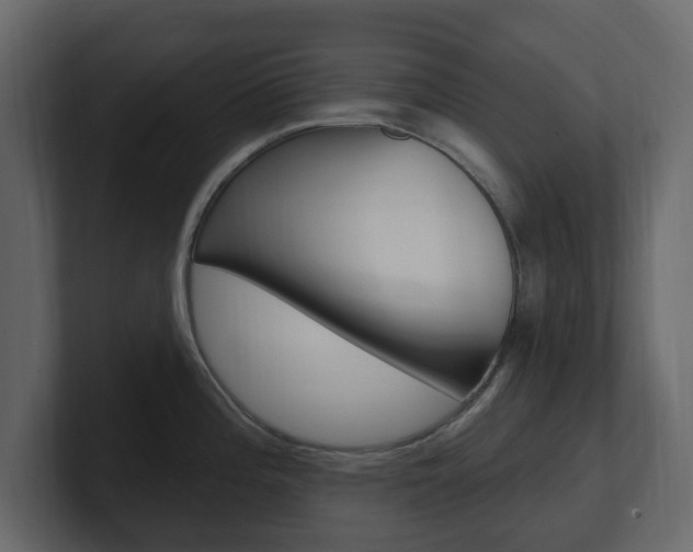 X0000101181196200806270820
