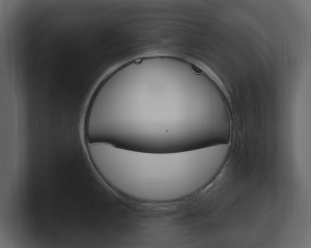 X0000101181197200806270820