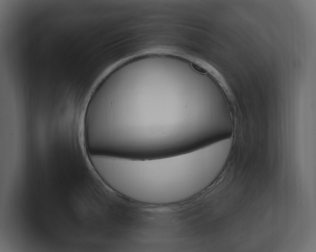 X0000101181199200806270820