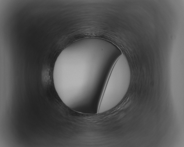 X0000101181202200806270819
