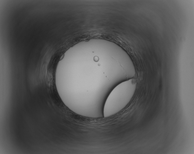 X0000101181203200806270819