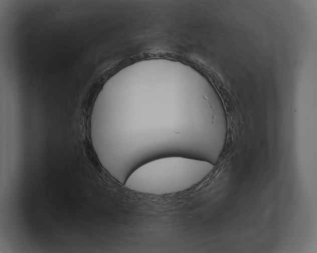 X0000101181207200806270819