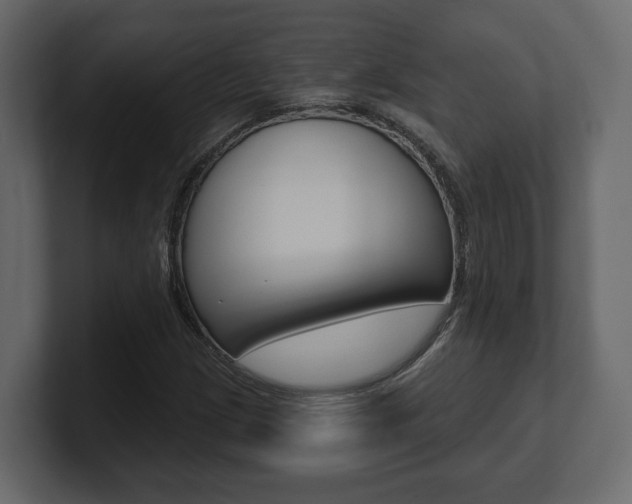 X0000101181209200806270820
