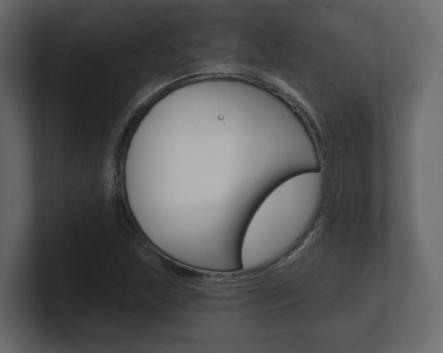 X0000101181215200806270820