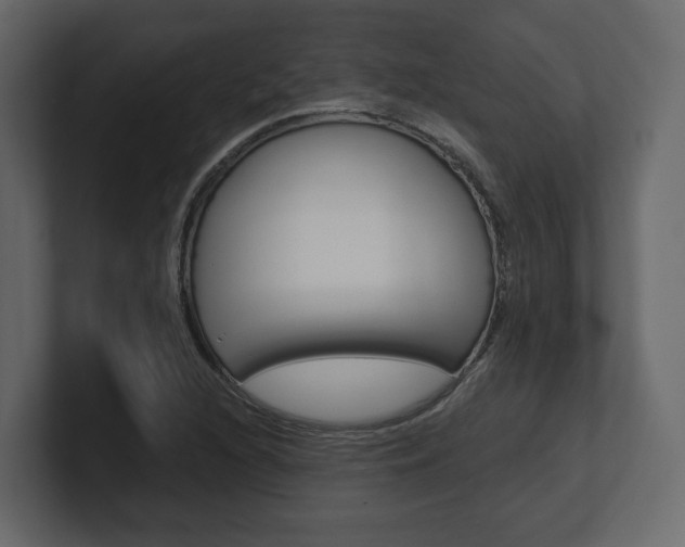 X0000101181216200806270820