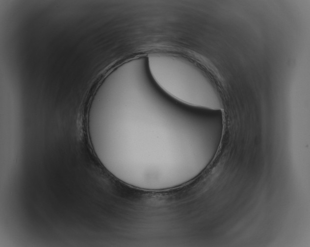 X0000101181217200806270820