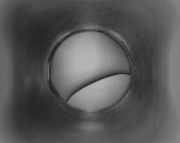 X0000101181223200806270820