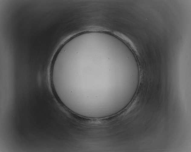 X0000101181231200806270820