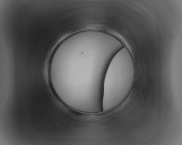 X0000101181235200806270820
