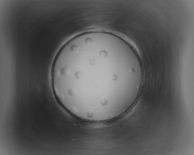 X0000101181239200806270820