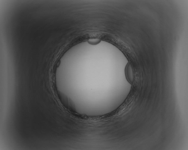 X0000101181249200806270819