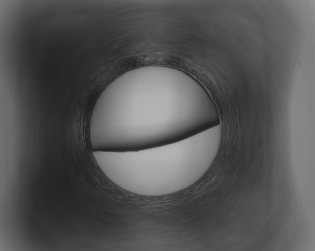 X0000101181250200806270819