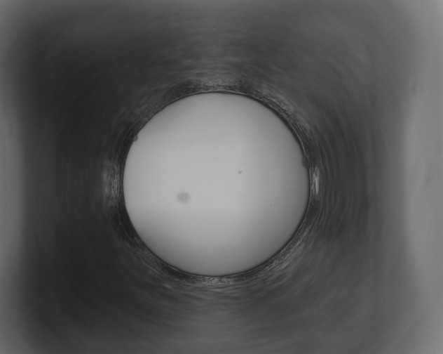 X0000101181251200806270819