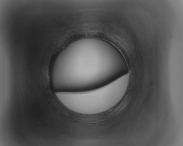 X0000101181252200806270819