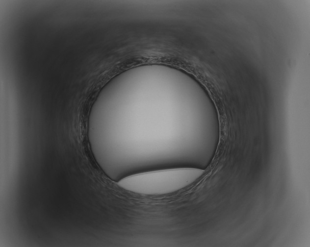 X0000101181253200806270819
