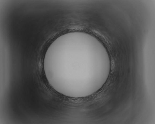 X0000101181254200806270819