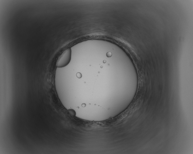 X0000101181255200806270819