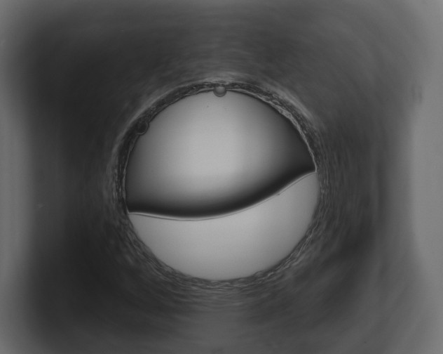 X0000101181256200806270819