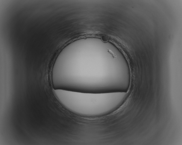 X0000101181257200806270819