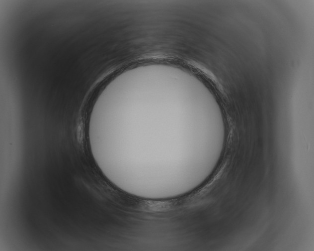 X0000101181258200806270819
