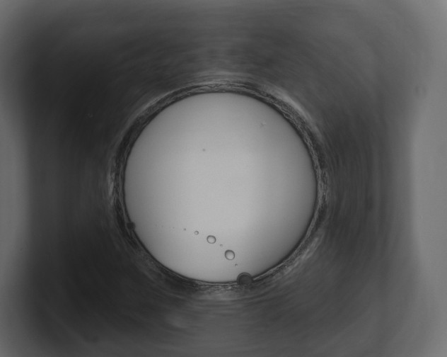 X0000101181259200806270819