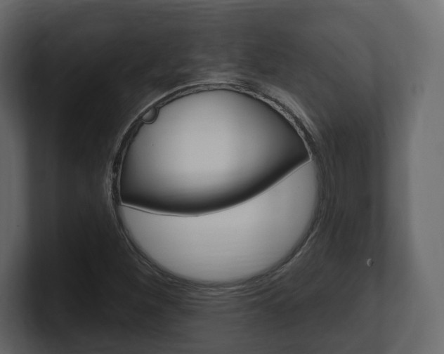 X0000101181260200806270819