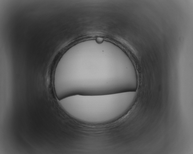 X0000101181261200806270819