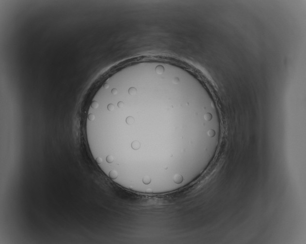 X0000101181263200806270819