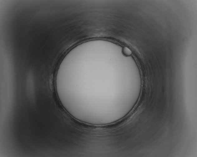 X0000101181265200806270819