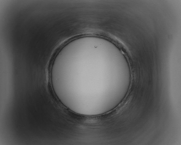 X0000101181267200806270819