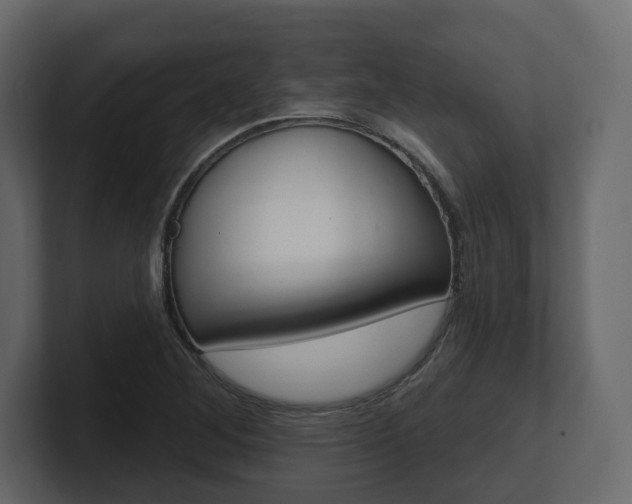 X0000101181268200806270819