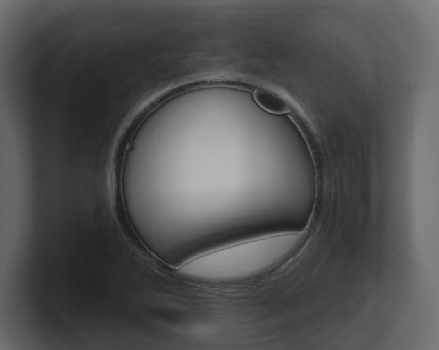 X0000101181270200806270819