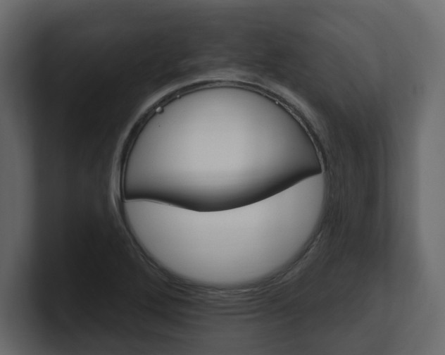 X0000101181272200806270819