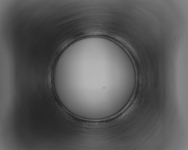 X0000101181273200806270819