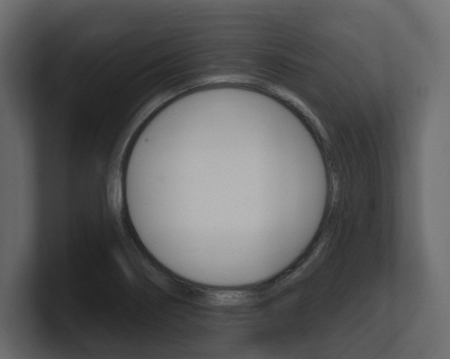 X0000101181274200806270819