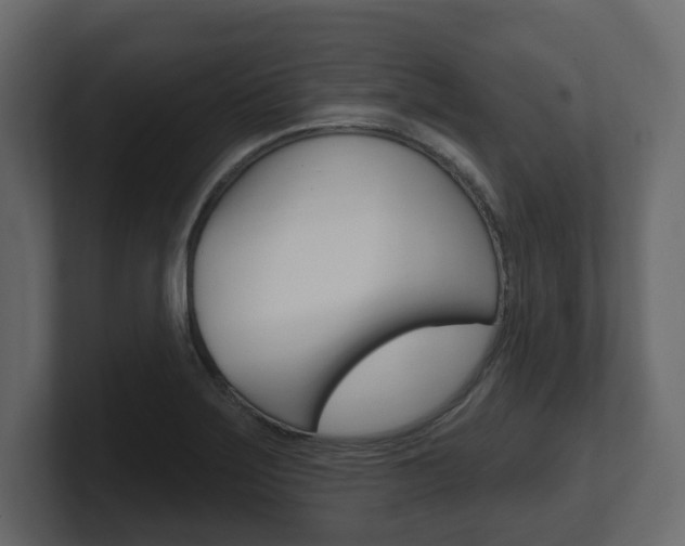X0000101181275200806270819