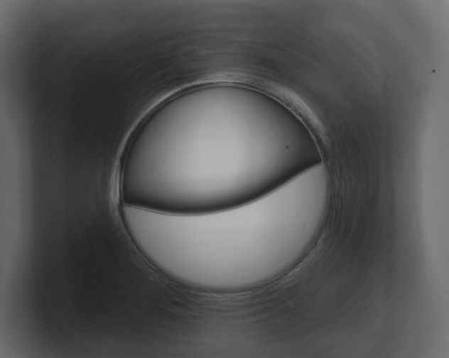X0000101181276200806270819