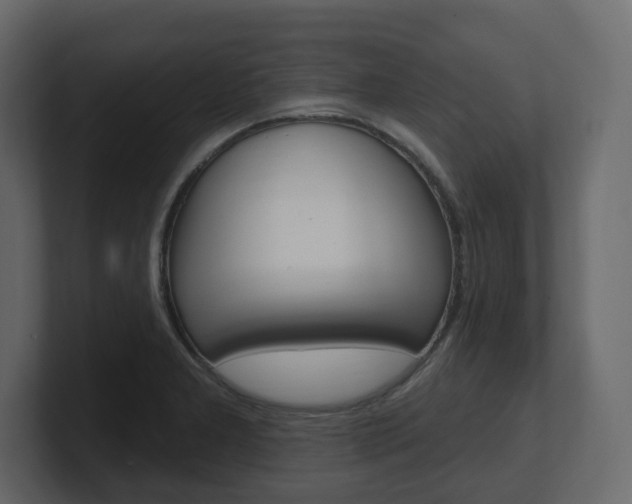 X0000101181277200806270819