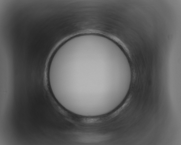 X0000101181278200806270819