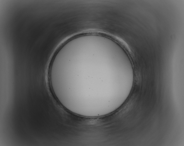X0000101181279200806270819