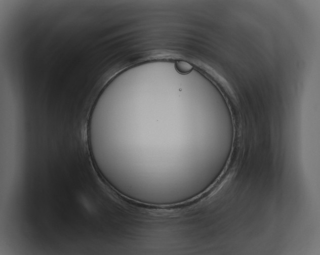 X0000101181281200806270819