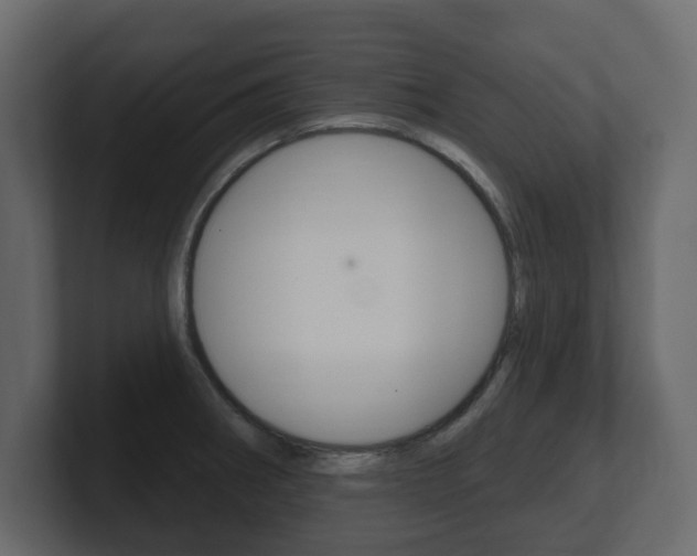 X0000101181282200806270819
