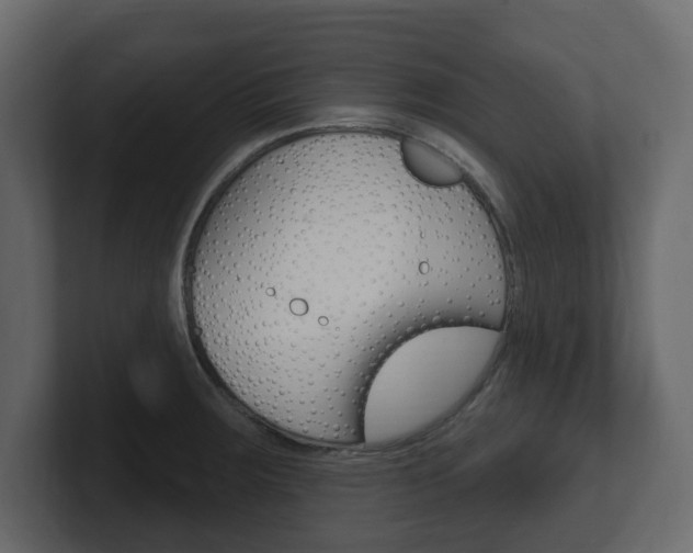 X0000101181283200806270819