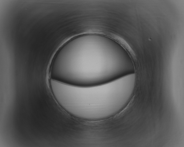 X0000101181284200806270819