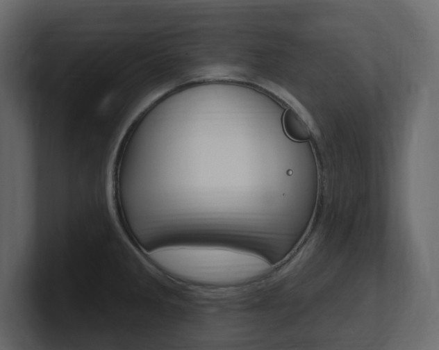 X0000101181285200806270819