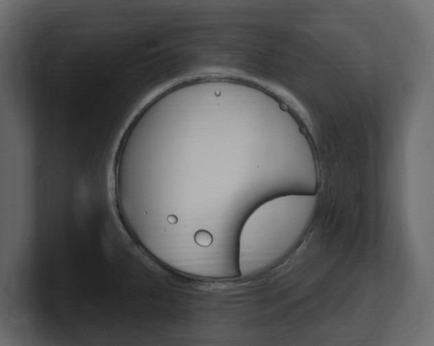 X0000101181287200806270819