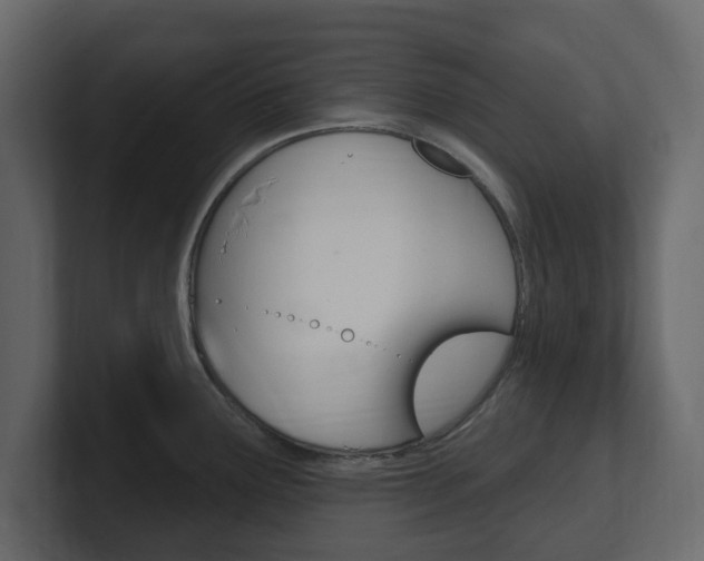 X0000101181291200806270819