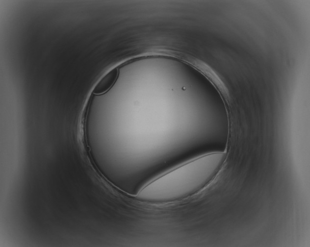 X0000101181292200806270819