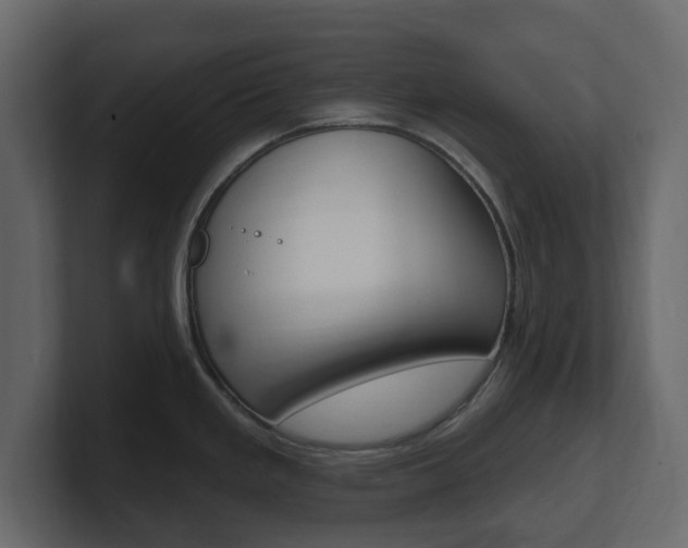 X0000101181293200806270819