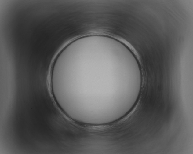 X0000101181294200806270819